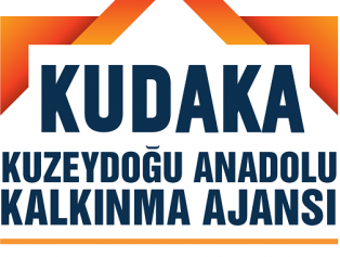T.C. Kuzeydoğu Anadolu Kalkınma Ajansı Personel Alım İlanı Galeri