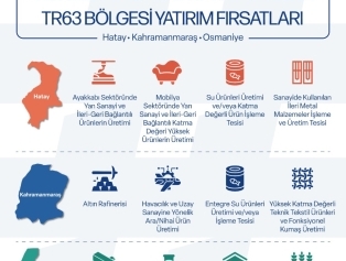 Yerel Kalkınma Hamlesi Teşvik Programı 2026 Yılı Başvuruları Başladı Galeri