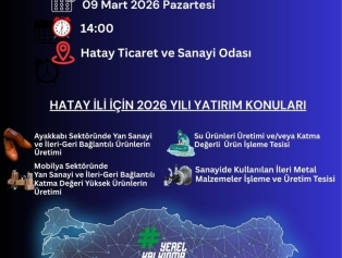 Hatay ili 2026 Yılı Yerel Kalkınma Hamlesi Bilgilendirme Toplantısı Galeri
