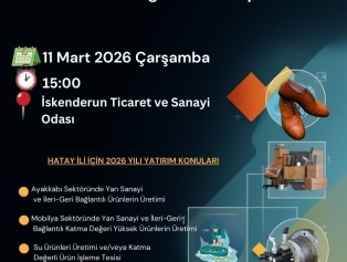 Hatay/İskenderun 2026 Yılı Yerel Kalkınma Hamlesi Bilgilendirme Toplantısı Galeri