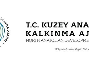 T.C. Kuzey Anadolu Kalkınma Ajansı Personel Alım İlanı Galeri