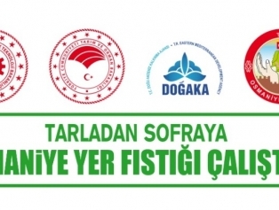 Tarladan Sofraya Osmaniye Yer Fıstığı Çalıştayı Düzenleniyor Galeri