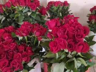Rahime Hatun Kadın Tarımsal Kalkınma Kooperatifi SOGEP Projesi Tamamlandı Galeri