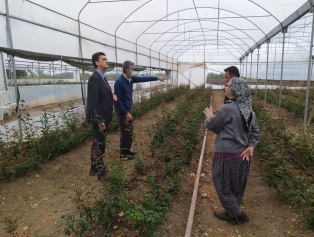 Rahime Hatun Kadın Tarımsal Kalkınma Kooperatifi SOGEP Projesi Tamamlandı Galeri