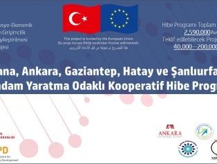 ENHANCER Projesi İstihdam Yaratma Odaklı Kooperatif Hibe Programı Bilgilendirme Toplantısı Galeri