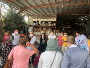 DOĞAKA Koordinasyonunda Hatay’da Kadın İstihdamına Yönelik Çalışma Ziyareti Gerçekleştirildi Galeri