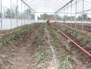 Rahime Hatun Kadın Tarımsal Kalkınma Kooperatifi SOGEP Projesi Tamamlandı Galeri