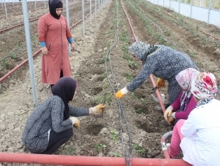 Rahime Hatun Kadın Tarımsal Kalkınma Kooperatifi SOGEP Projesi Tamamlandı Galeri