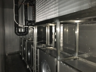 Yayladağı Modern Çilek İşleme Tesisine Kavuştu Galeri