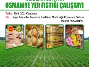 Ödüllü Genç Girişimci Fikir Maratonu Yarışması Galeri