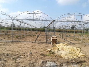 Süs Bitkileri Sektöründe Kırsal Alanda Kadın İstihdamı Projesi Galeri