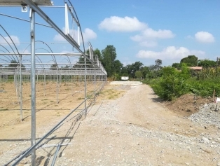 Süs Bitkileri Sektöründe Kırsal Alanda Kadın İstihdamı Projesi Galeri