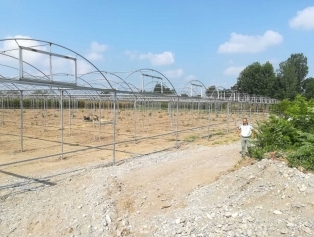 Süs Bitkileri Sektöründe Kırsal Alanda Kadın İstihdamı Projesi Galeri