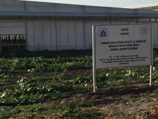 Bölgemizde Seracılık Faaliyetlerine DOĞAKA’dan Destek Galeri