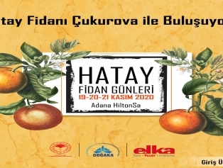 Adana’da Düzenlenecek Olan “Hatay Fidan Günleri” Etkinliğine Hataylı Fidan Üreticileri DOĞAKA Koordinasyonunda Katılıyor Galeri