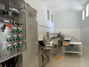 Yayladağı Modern Çilek İşleme Tesisine Kavuştu Galeri