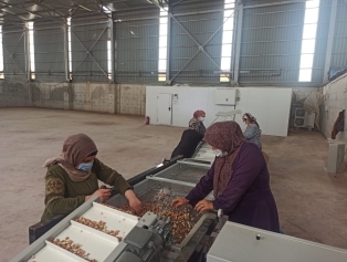 Osmaniye Yer Fıstığı Güvenilir Gıda Üretim Tesisi ile Katma Değerli Üretim ve Kadın İstihdamı Destekleniyor Galeri