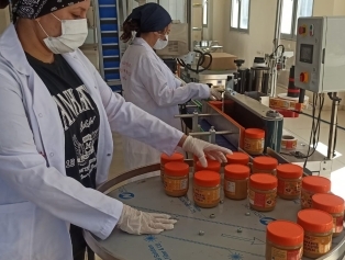 Osmaniye Yer Fıstığı Güvenilir Gıda Üretim Tesisi ile Katma Değerli Üretim ve Kadın İstihdamı Destekleniyor Galeri