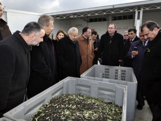 Doğaka Zeytincilik Sektörü Çalışma Ziyareti Galeri