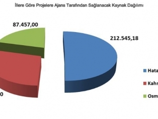 2013 Yılı Doğrudan Faaliyet Desteği Programına İlişkin Değerlendirme Sonuçları İlanı Galeri
