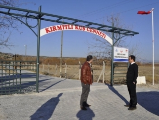Kırmıtlı Kuş Cenneti Doğaka'nın Desteğiyle Turizme Kazandırıldı. Galeri