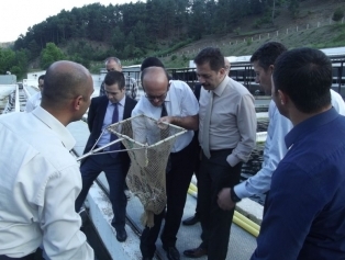 İçsu Kültür Balıkçılığı Pazarlama Ve Tanıtım Çalıştayı Kahramanmaraş’ta Gerçekleştirildi Galeri