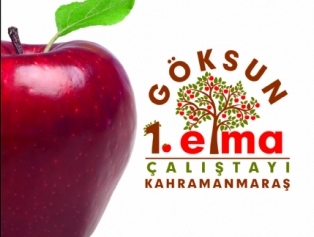 Göksun 1. Elma Çalıştayı Galeri