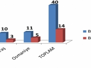 BİG2 Teklif Çağrısına İlişkin Değerlendirme Sonuçları İlanı Galeri