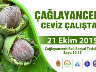 Çağlayancerit Ceviz Çalıştayı Galeri