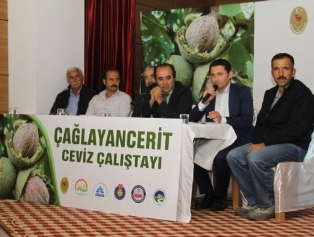 Çağlayancerit Ceviz Çalıştayı Galeri