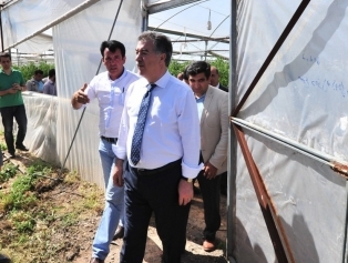 Osmaniye Valisi Kerem AL Seralarda İncelemelerde Bulundu Galeri