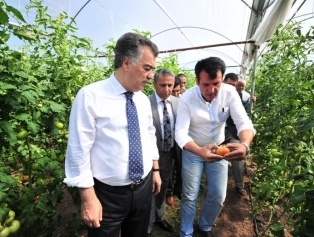 Osmaniye Valisi Kerem AL Seralarda İncelemelerde Bulundu Galeri
