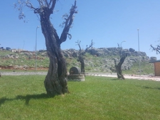 Hatay İli Turizm Projeleri DOĞAKA Desteği İle Hayata Geçiyor Galeri