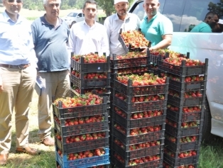 “Kahramanmaraş İli İlçe Bazlı Kırsal Kalkınma Planları Çalışması” kapsamında ilçe ziyaretleri yapıldı. Galeri