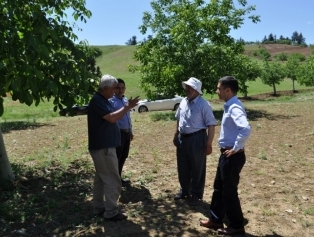 “Kahramanmaraş İli İlçe Bazlı Kırsal Kalkınma Planları Çalışması” kapsamında ilçe ziyaretleri yapıldı. Galeri