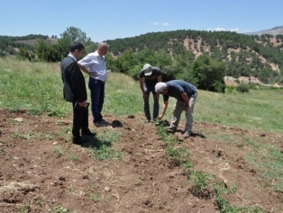 “Kahramanmaraş İli İlçe Bazlı Kırsal Kalkınma Planları Çalışması” kapsamında ilçe ziyaretleri yapıldı. Galeri