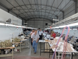 DOĞAKA, UNDP ile İşbirliği Yapıyor Galeri