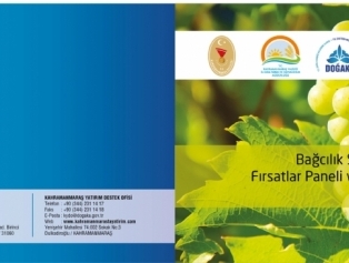 Bağcılık Sektöründe Gelişmeler Ve Fırsatlar Paneli Ve Hasat Günü Etkinlikleri Galeri