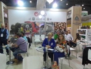 DOĞAKA Koordinasyonunda Bölgemiz Gıda Üreticileri İşbirliğinde Katılım Sağlanan “CNR FOOD İSTANBUL 2017 Uluslararası Gıda Fuarı” Kapılarını Ziyaretçilerine Açtı Galeri