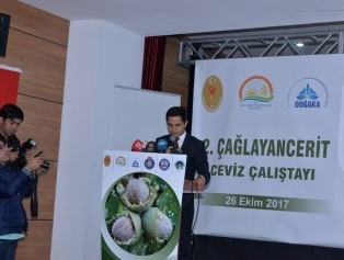 Çağlayancerit’te Ceviz Çalıştayı Düzenlendi Galeri
