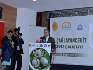 Çağlayancerit’te Ceviz Çalıştayı Düzenlendi Galeri