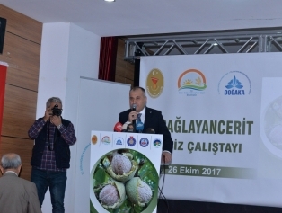 Çağlayancerit’te Ceviz Çalıştayı Düzenlendi Galeri