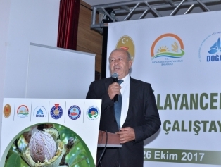 Çağlayancerit’te Ceviz Çalıştayı Düzenlendi Galeri