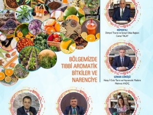 DOĞAKA Bülten On Üçüncü Sayımız “Bölgemizde Tıbbi-Aromatik Bitkiler ve Narenciye” Teması İle Bölgemiz Tanıtımına Devam Ediyor. Galeri