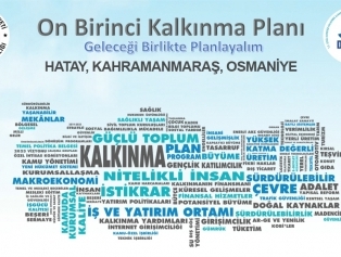 On Birinci Kalkınma Planı Vatandaş Anketi Galeri