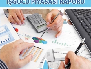 TR63 Bölgesi İşgücü Piyasası Raporu Hazırlandı Galeri