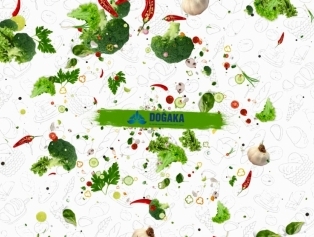 DOĞAKA Farklı Dillerde Hazırlanan “Hatay Gastronomi Tanıtım Filmi” ile Hatay Mutfağını Tanıtıyor Galeri