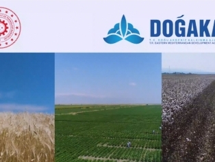 DOĞAKA Farklı Dillerde Hazırlanan “Hatay Tarım Sektörü Tanıtım Filmi” ile Bölgemizdeki Tarımsal Üretimi Tanıtıyor Galeri