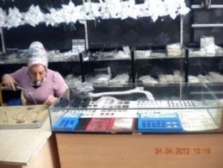 Reyhanlı’da Uygulamalı Girişimcilik Eğitimi Sertifika Töreni Galeri