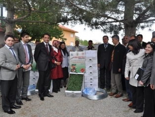 Afşin Sırık Domatesle Tanıştı Galeri